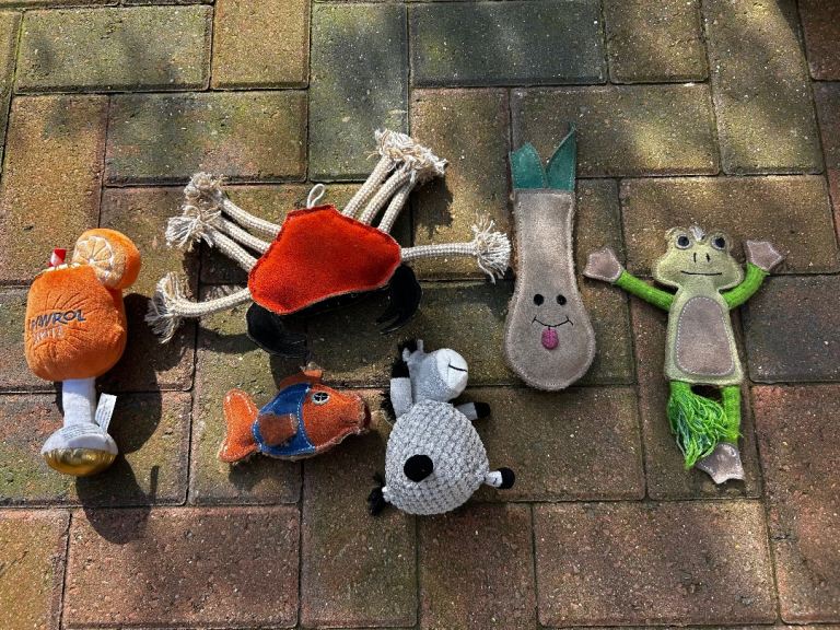 Selection of dog toys, bandanas and folding water bowls