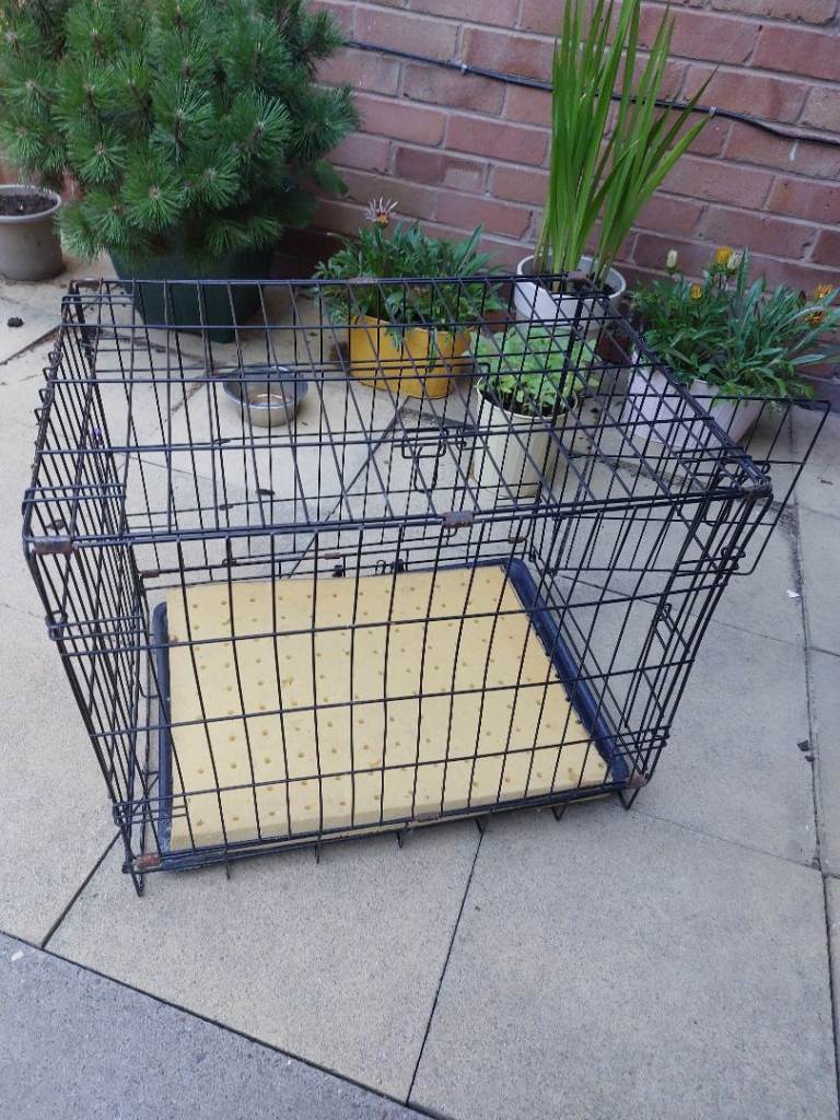 Small metal dog crate 