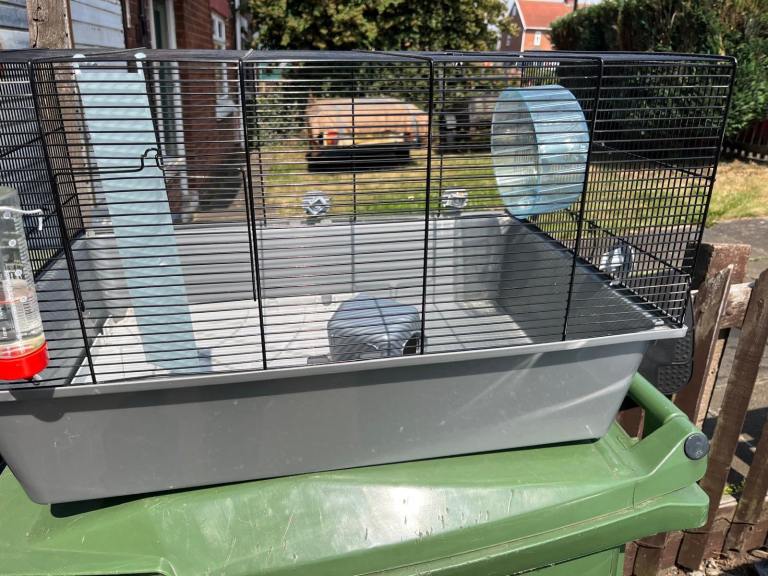 Hamster or small rodent cage