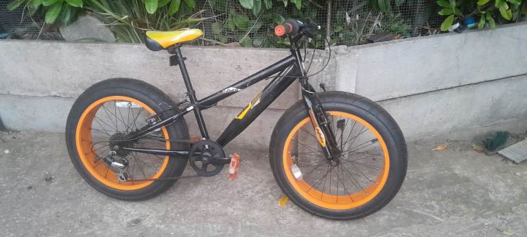 Fat Bmx bike