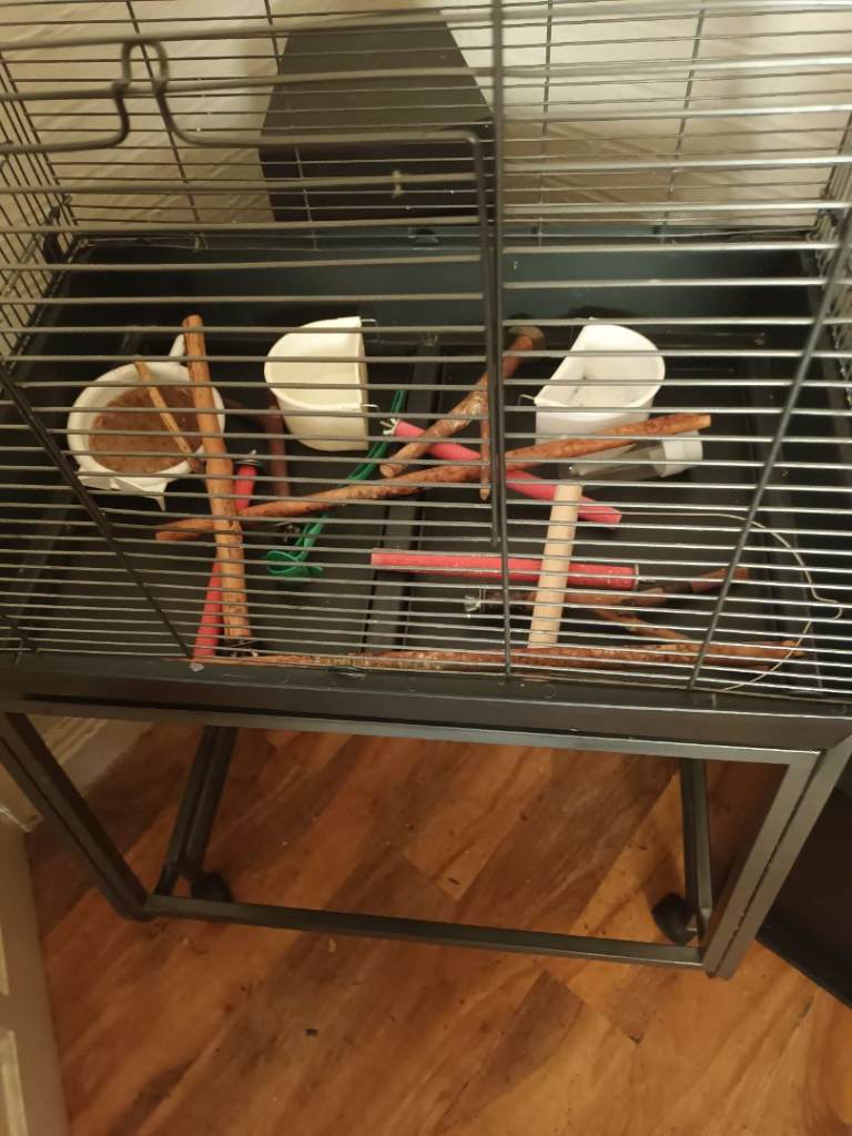 Bird cage
