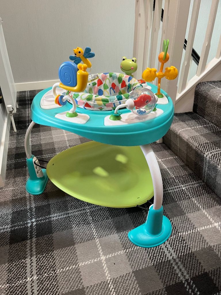 Bright starts playful pond Baby bouncer 