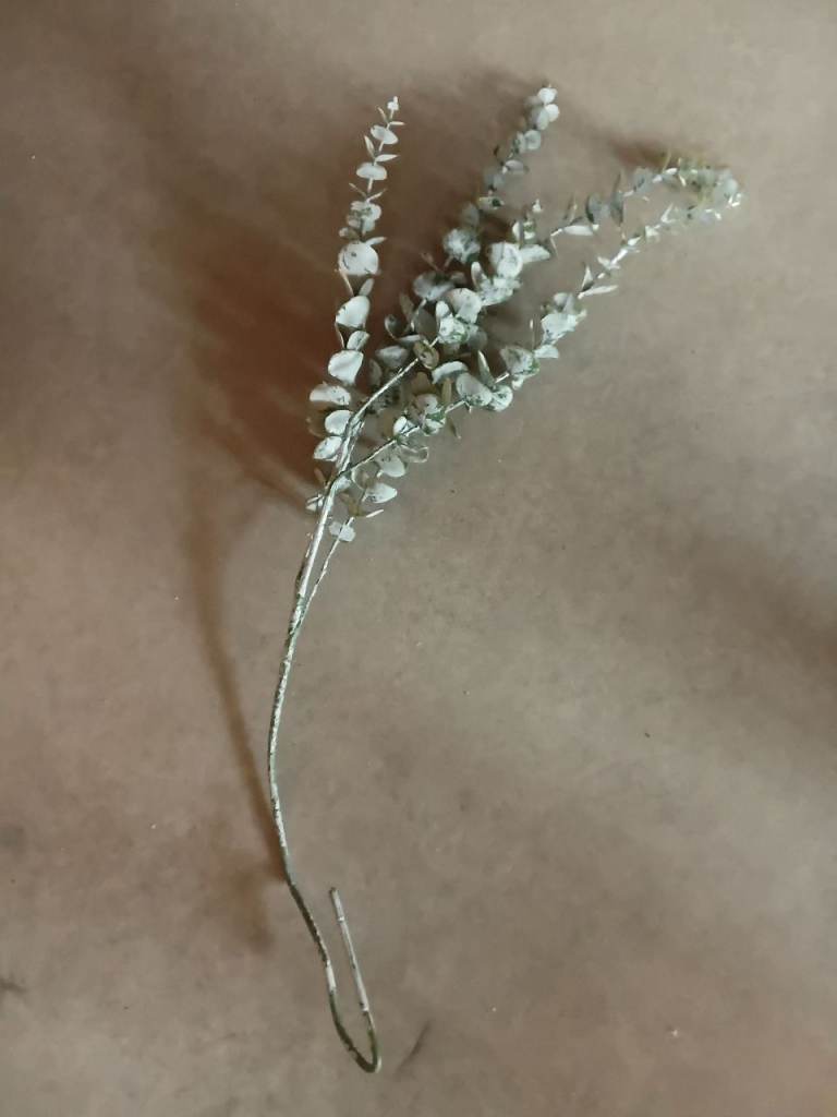 Decorative Silver Eucalyptus Spray – Good Condition