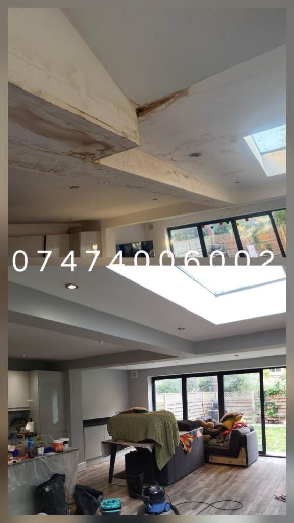 Decorator and Roofer 