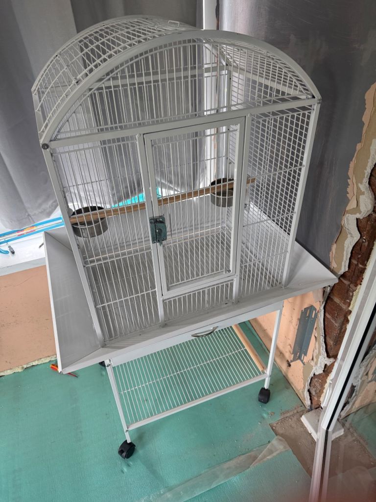 Brand new cage parrot 