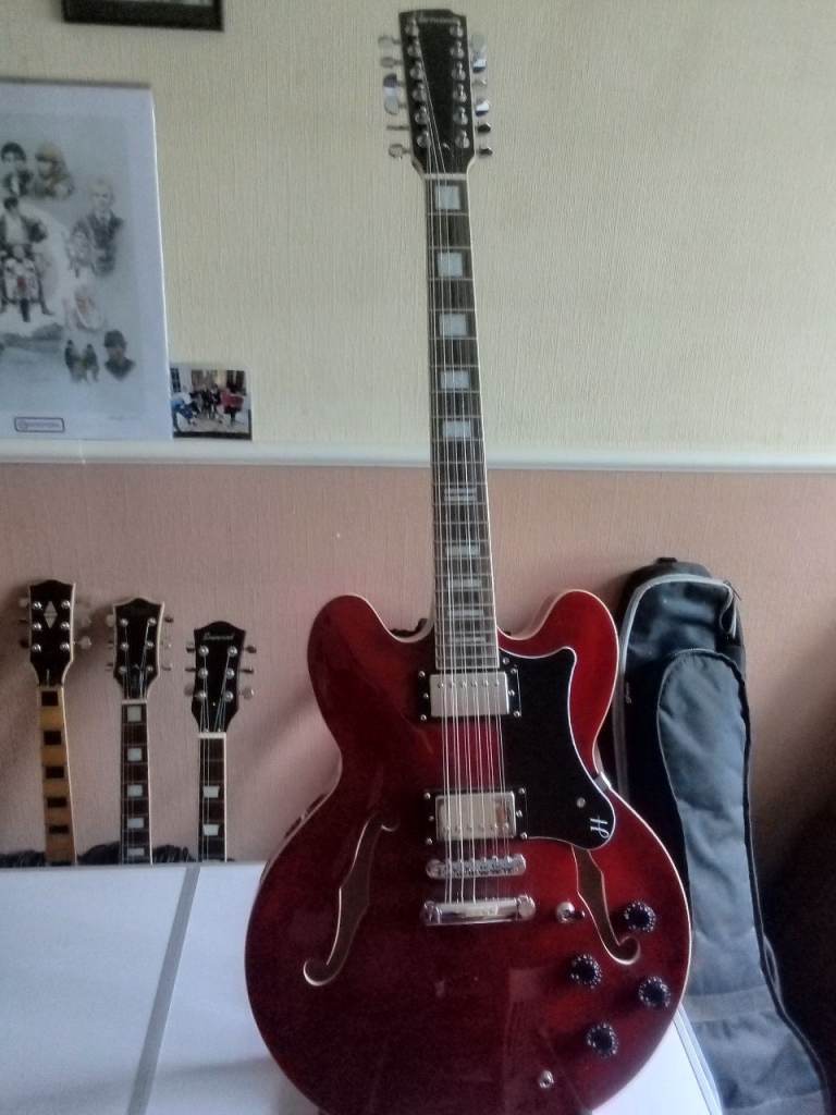 Hartwood Revival 12 string Semi Acoustic 