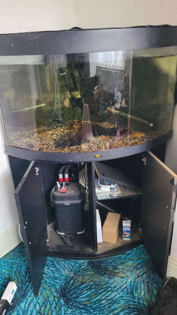 Trigon 190, fluvial 307, bubbler, heater