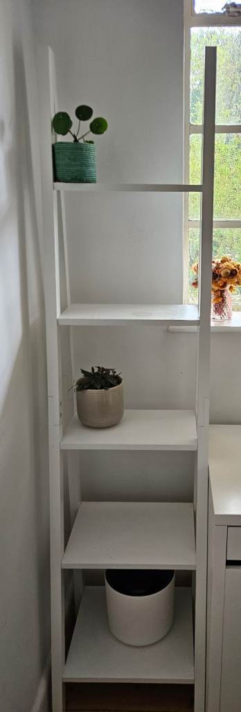 Ladder bookcase 
