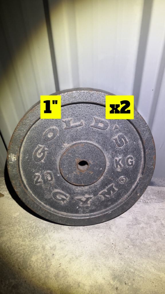 Gold's Gym 2x1" 20kg Plates