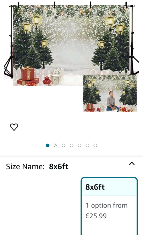 Bnip Christmas scene backdrop. 8x6