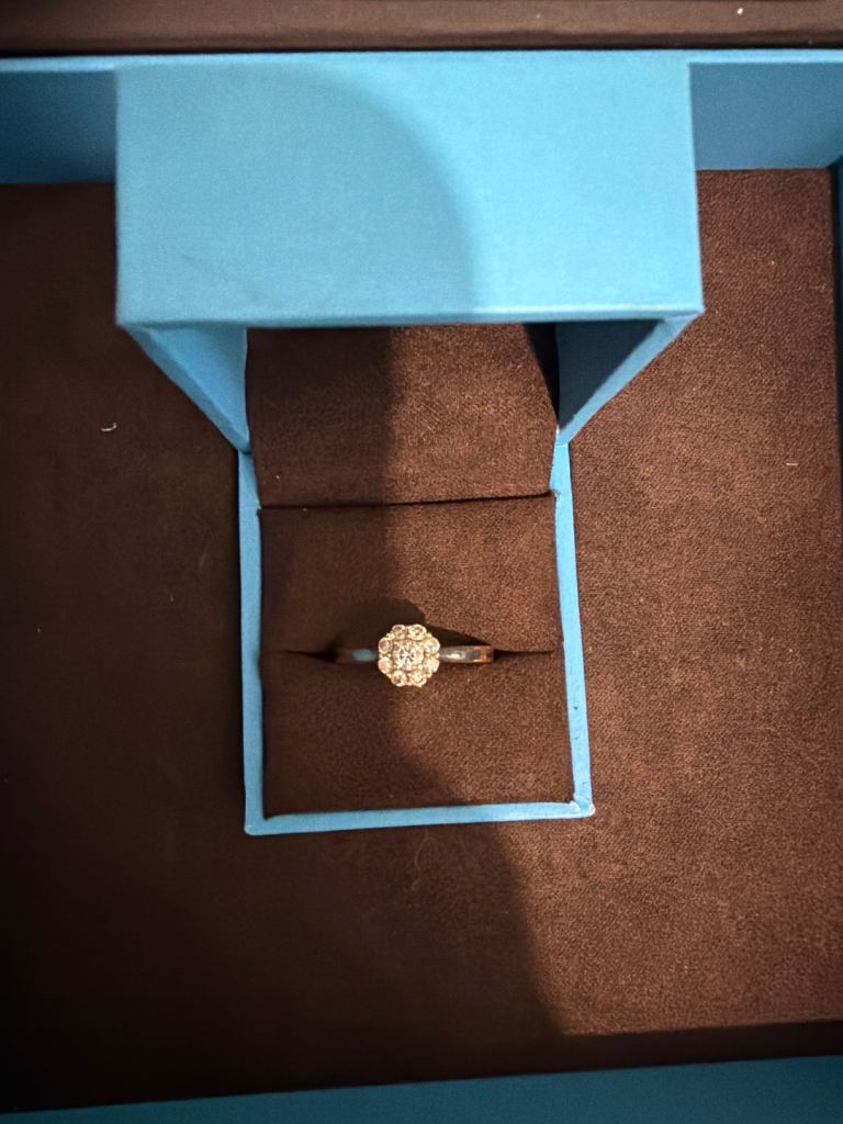 The Diamond Story Engagement Ring 