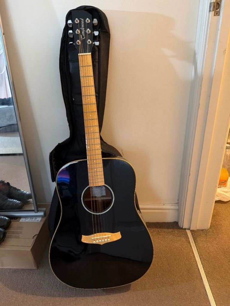Tanglewood Evolution TW28 ST Seagull Acoustic Guitar