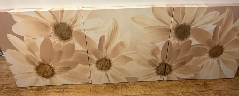 Set of 3 Daisy Flower Canvas Wall Art Prints