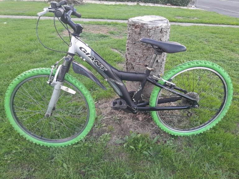 Boys age 8 up Giant Bike .