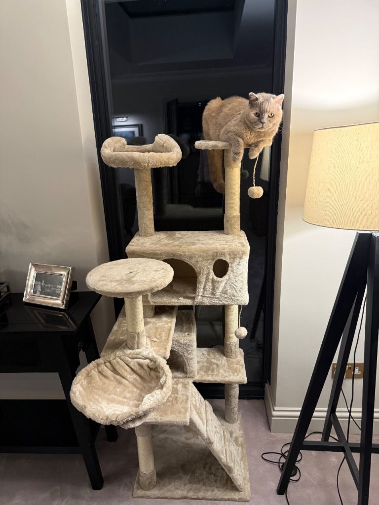 Cat Tree House - Free to collect 