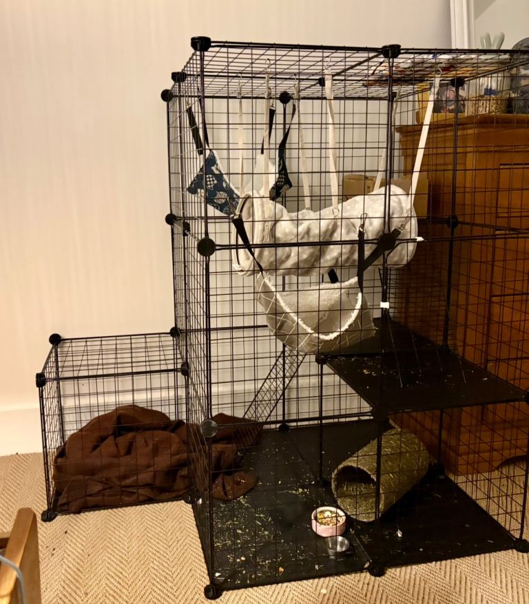 Modular Pet Enclosure 