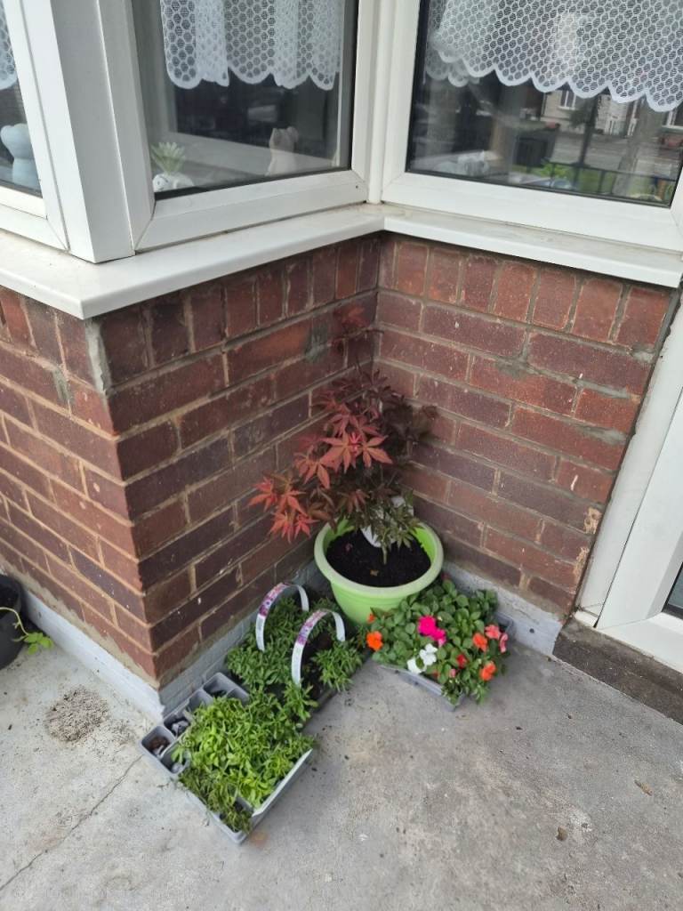 2 bed first floor flat in horrninglow