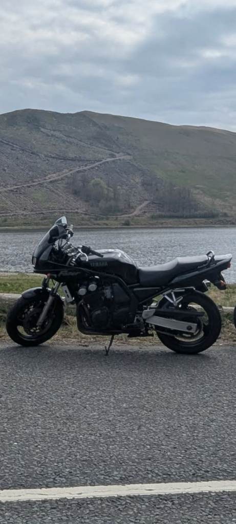 Yamaha, FZS, 1998, 599 (cc)