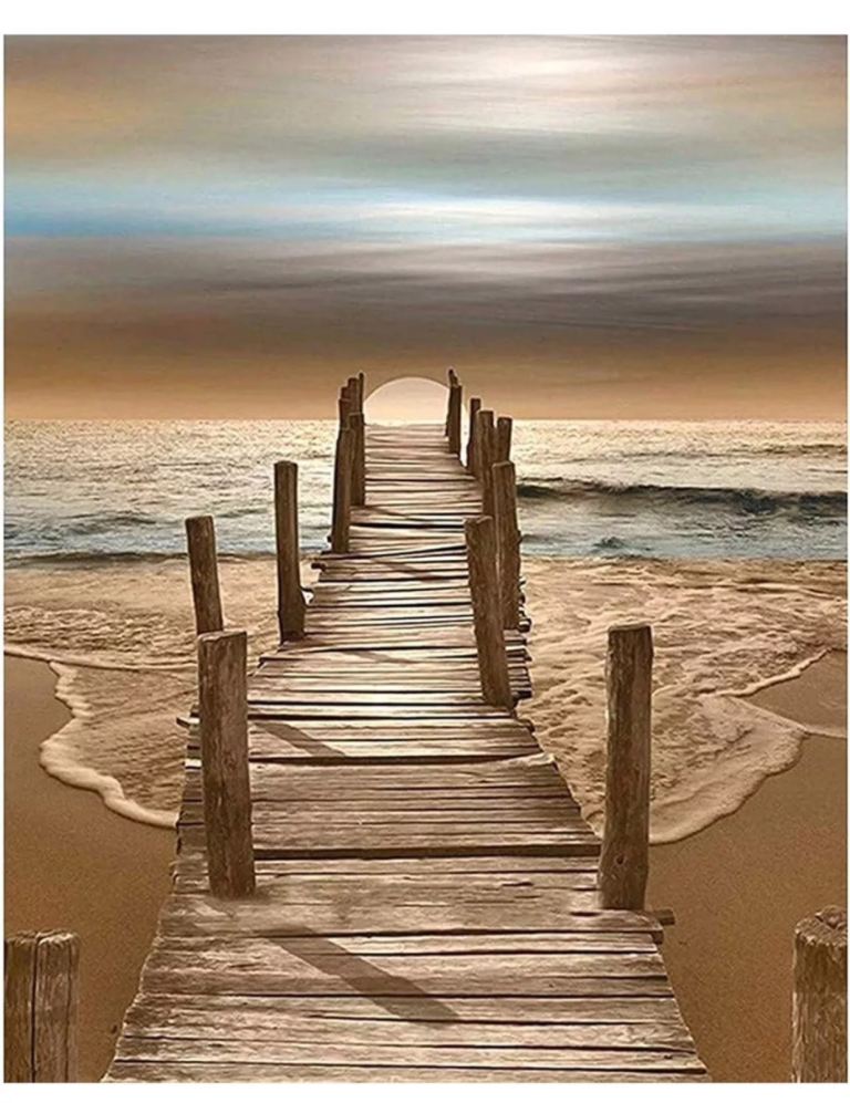 Painting By Numbers Craft DIY Paint On Canvas Brushes & Acrylic Pigment 16”x20”