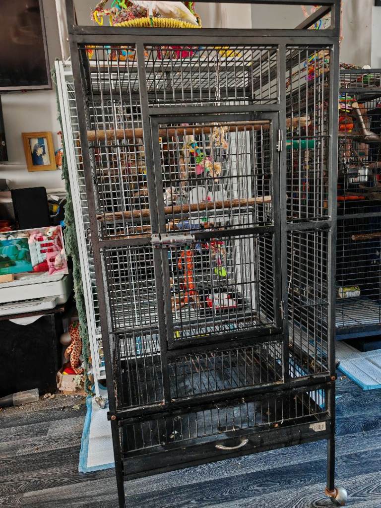 Medium parrot cage 