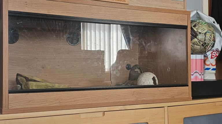 Glass vivarium for snake or reptile 