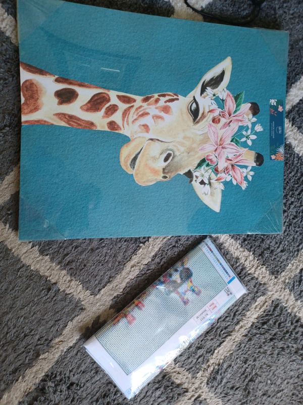 Giraffe painting and art set