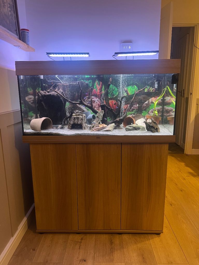 Juwel Rio 180 Fish tank 