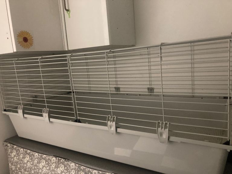 Pets at home 120cm Guinea pig cage 