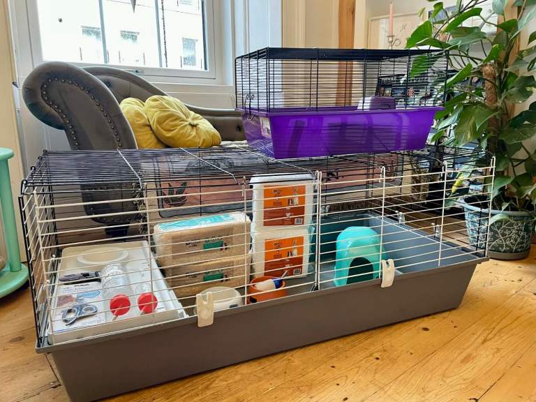 image for Complete Guinea Pig Cage & Accessories – Great Deal