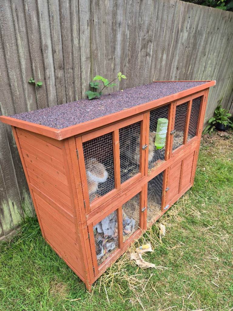Double rabbit hutch for sale