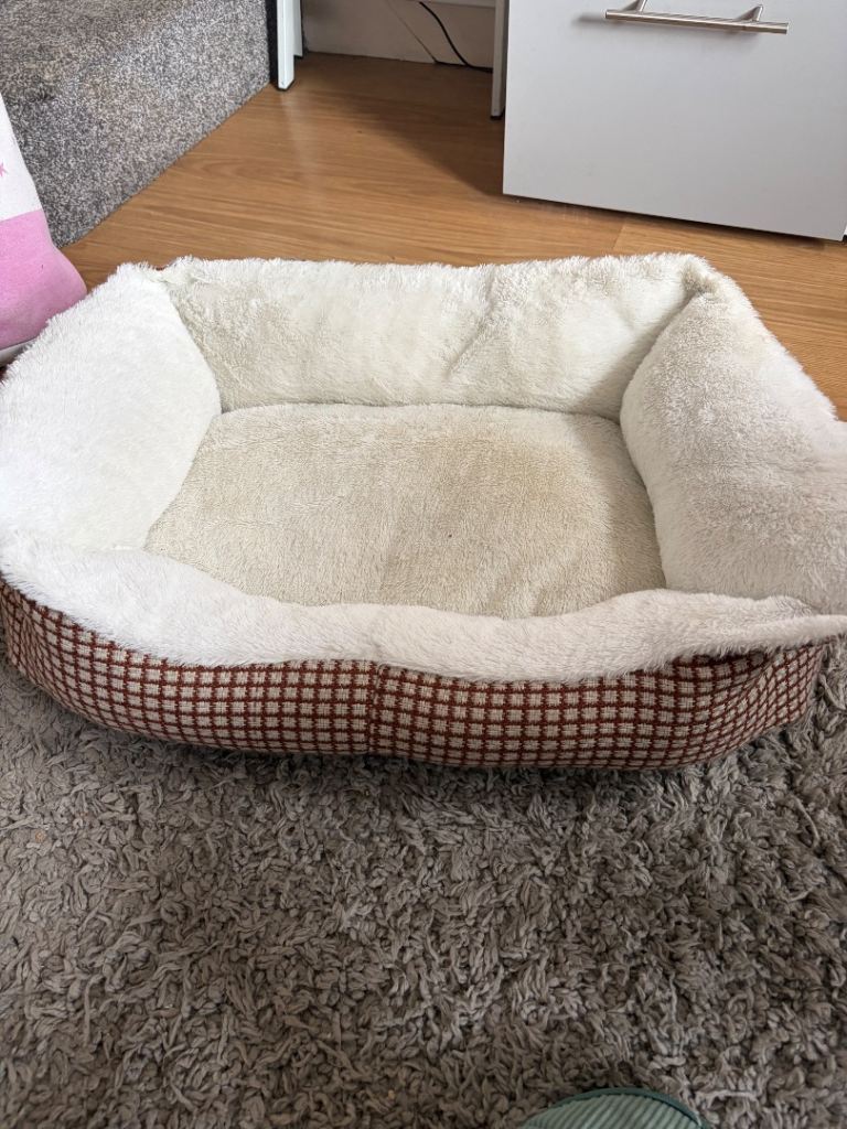 Cat/small dog bed