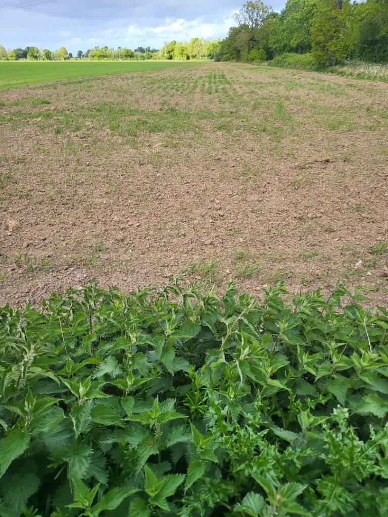 Detecting land Wanted 