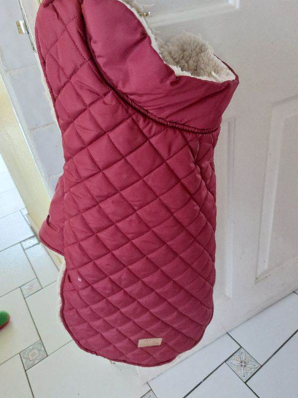 Brand new unused padded design burgundy dog coat