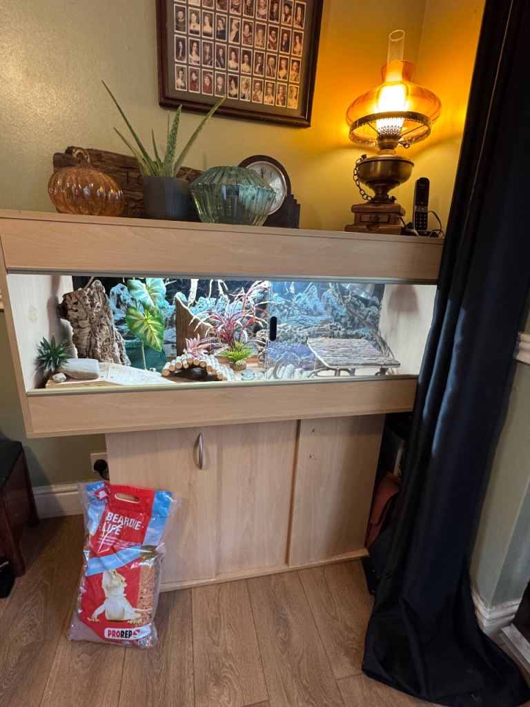 Viv vivarium, reptile tank, reptile equipment 