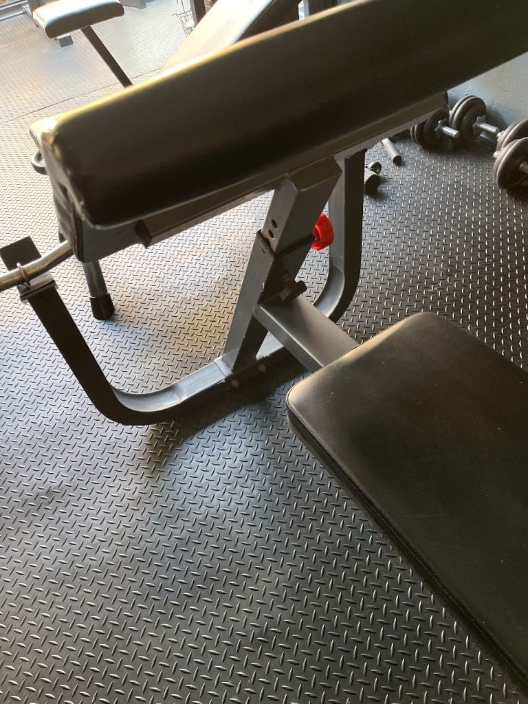 BODYMAX PREACHER CURL AND MARCY UTILITY  WEIGHTS BENCH