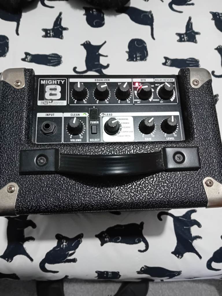 NUX Mighty 8 mains or battery power