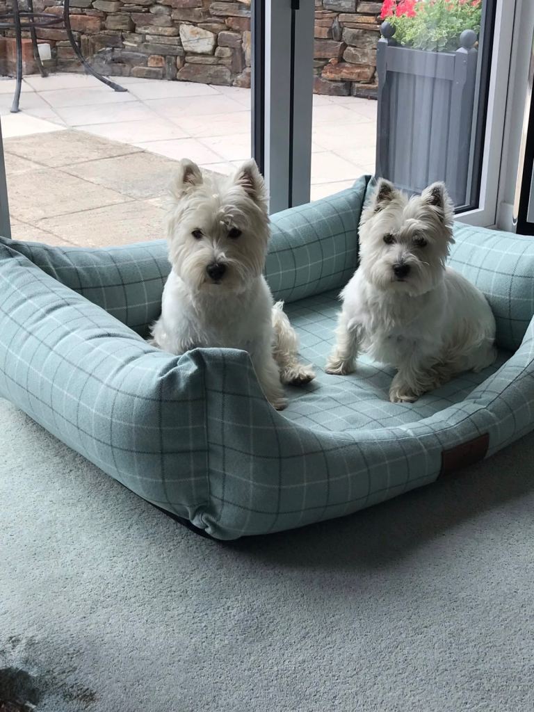 Large Dog bed with washable covers
