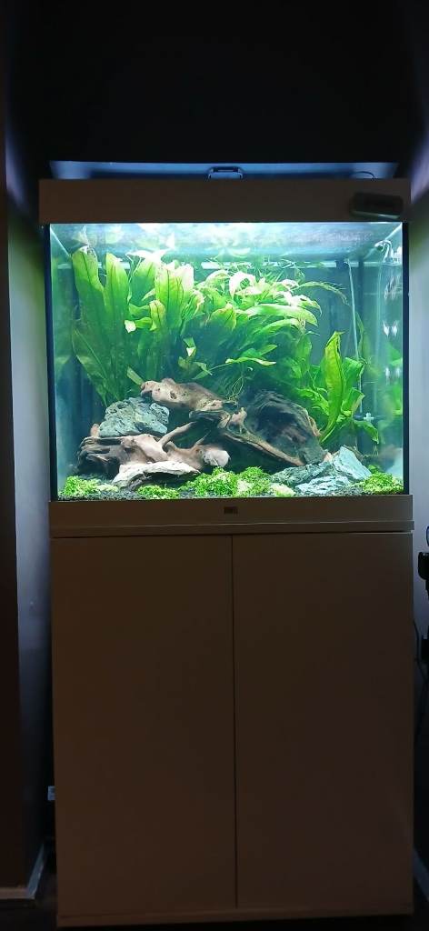 Fish tank, juwel lido 200 led