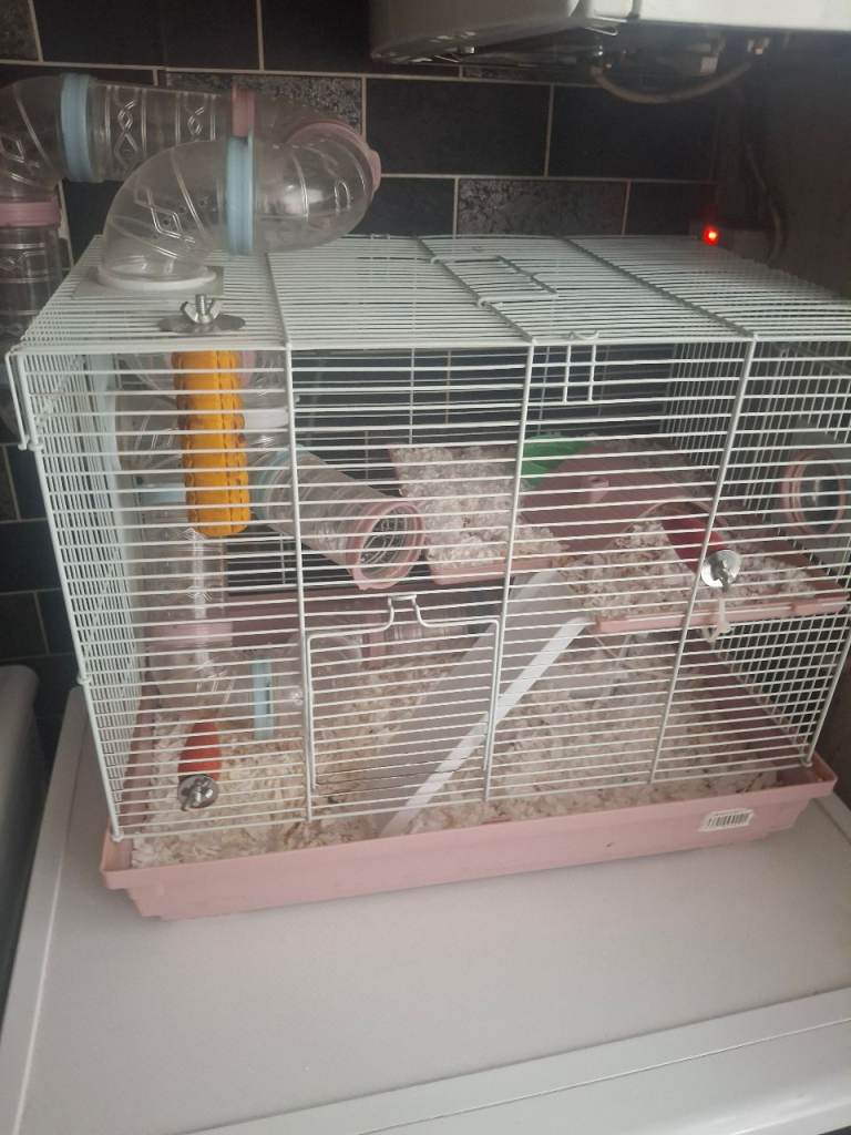 Hampster cage 