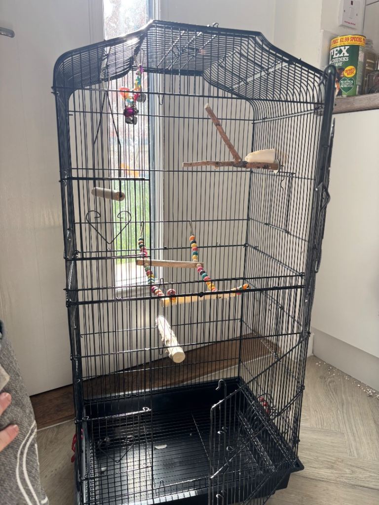 Bird cage 
