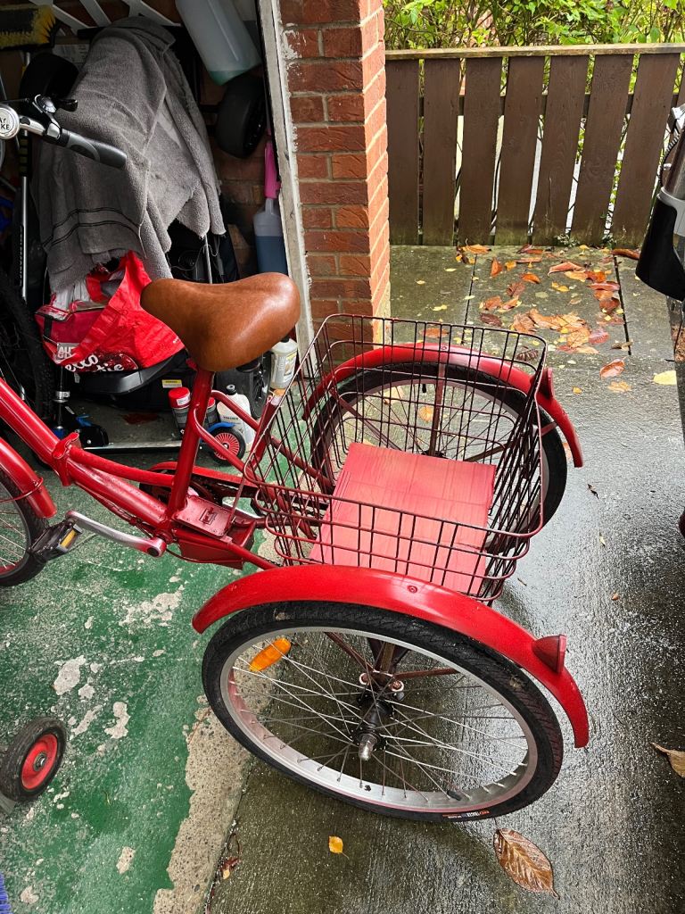 Jorvik adult trike 