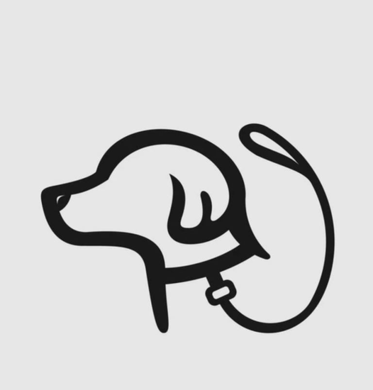     Reliable Dog Walker & Trusted Pet Sitter