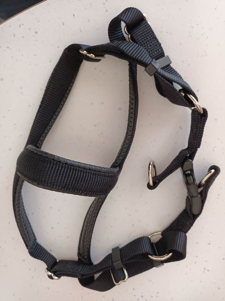 new dog harness medium size fit