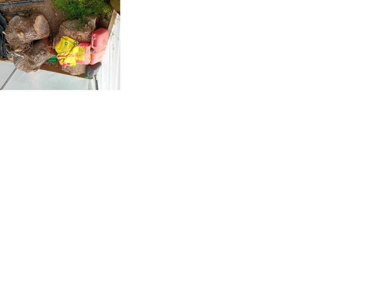 Larage amount of logs 