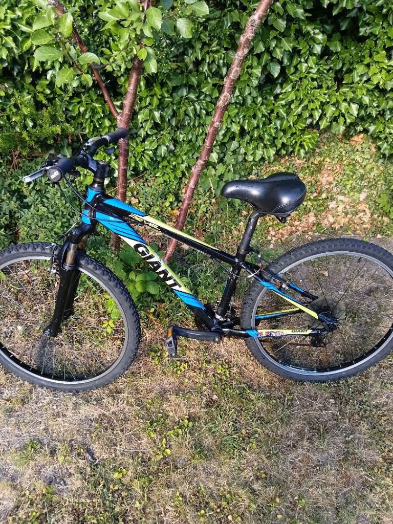 Giant medium bike