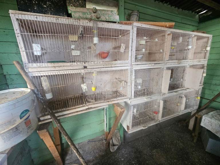 Bird Breeding cages 