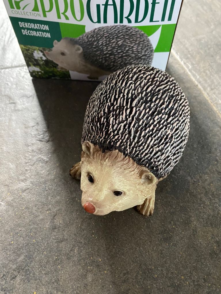 Resin Hedgehog 