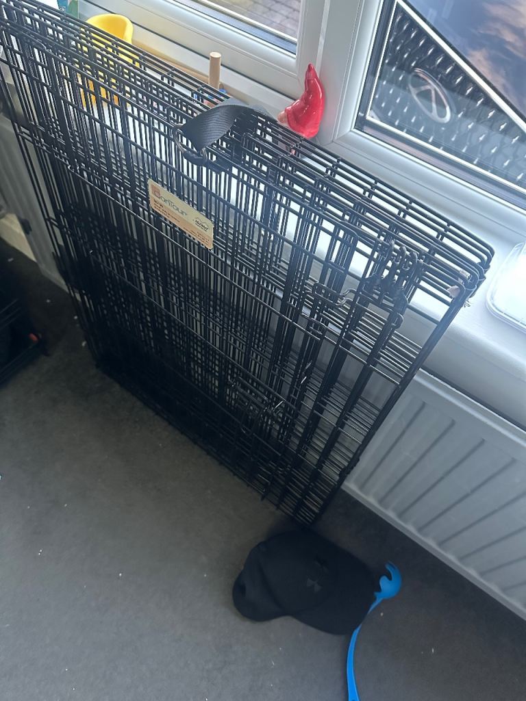 Dog play pen