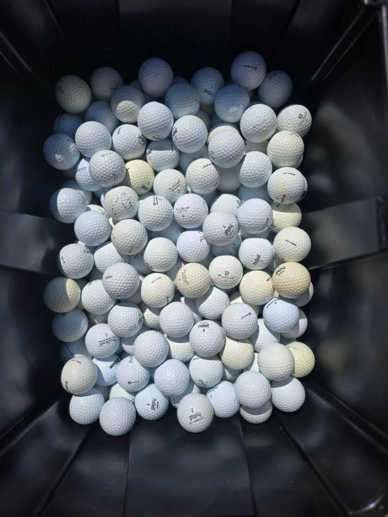 Wilson ProStaff White Practice Grade golf balls