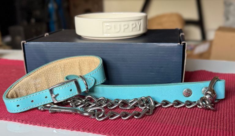 Puppy bowl, lead and collar